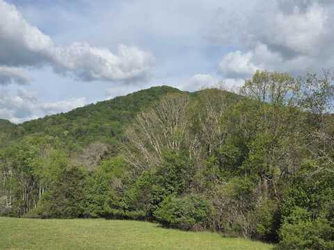 TBD, NATURAL BRIDGE STATION, VA 24579