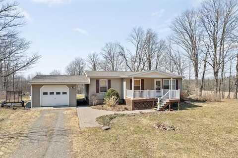 6743 Lisle Road, OWEGO, NY 13827