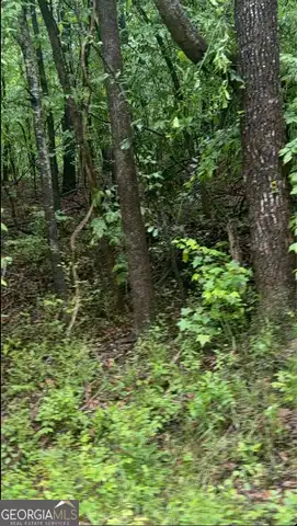 0 Collier, Covington, GA 30014