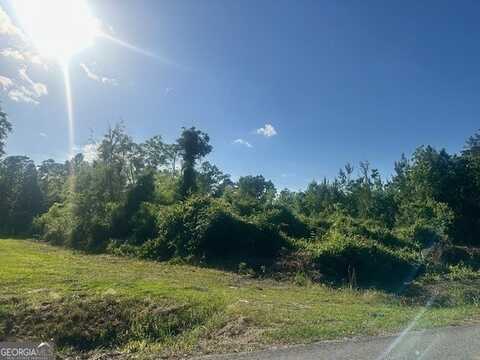 0 Warnell Ave, Pembroke, GA 31321