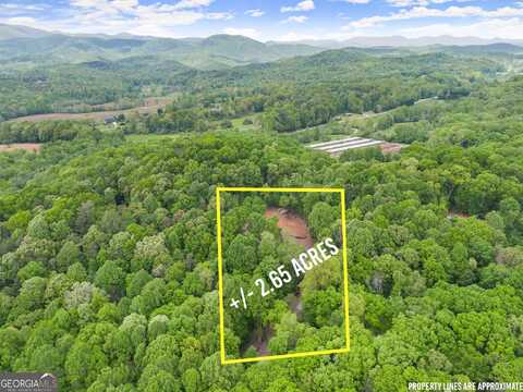 Lot 6 Meadowview Ridge, Clarkesville, GA 30523