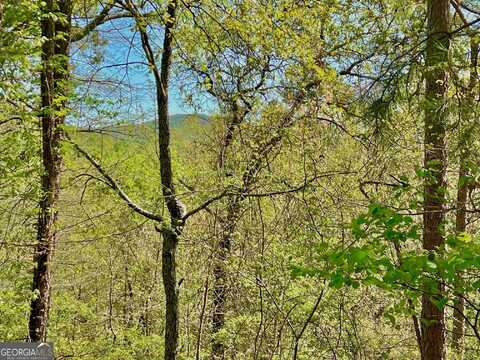 691 Railey Ridge, Ranger, GA 30734