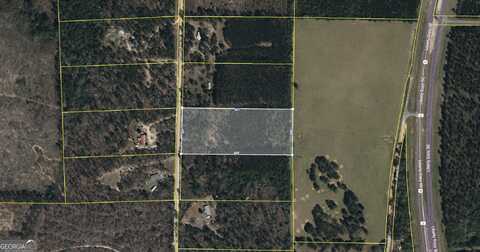 6.16 Acres S Mt Sinai, Butler, GA 31006