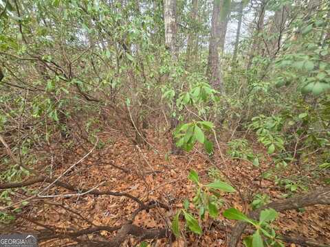 34 Vienna Ring, Helen, GA 30545