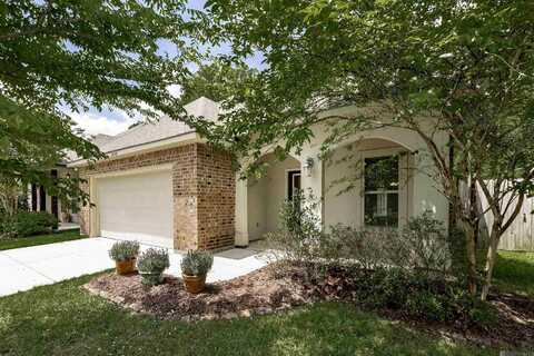 39255 Superior Wood Ave, Gonzales, LA 70737