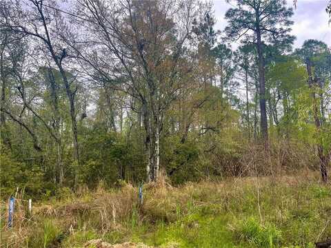 0 Michigan Avenue, Coden, AL 36523