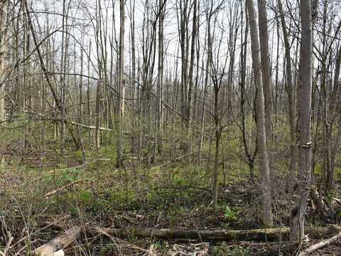 3214-024 BLOOMING VALLEY Road, Meadville, PA 16335