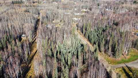 L6B1 NHN TERESA TURNAROUND/MCGRATH, Fairbanks, AK 99701