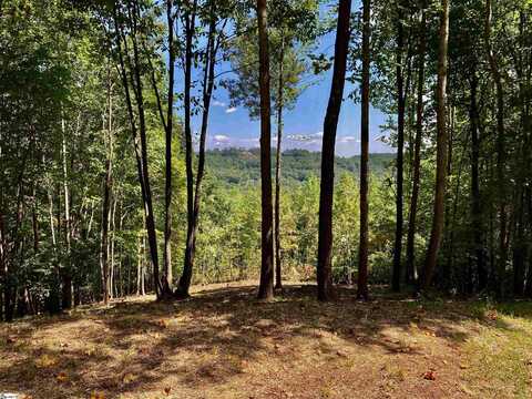 501 Blue Bonnet Trail, Marietta, SC 29661