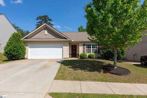 207 Willow Grove Way, Piedmont, SC 29673