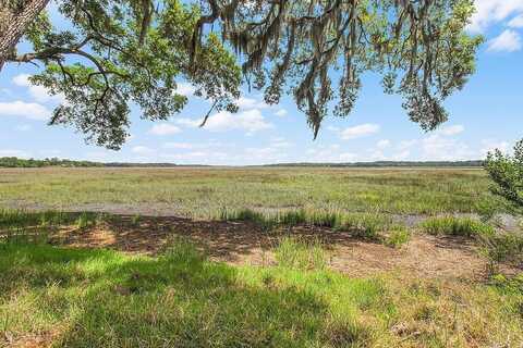 Lot 17 Sutherland Bluff Drive NE, Townsend, GA 31331