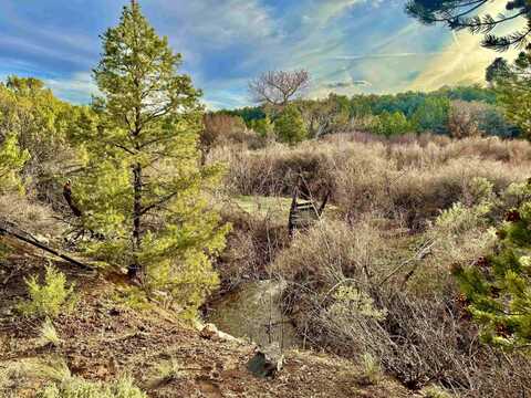 4665 S 9 8/10 Road, Glade Park, CO 81523