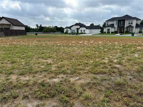 1209 Raptor Street, Mission, TX 78572