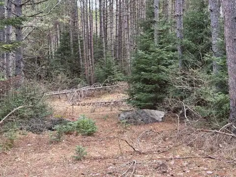 8634 CTH H, Sugar Camp, WI 54521