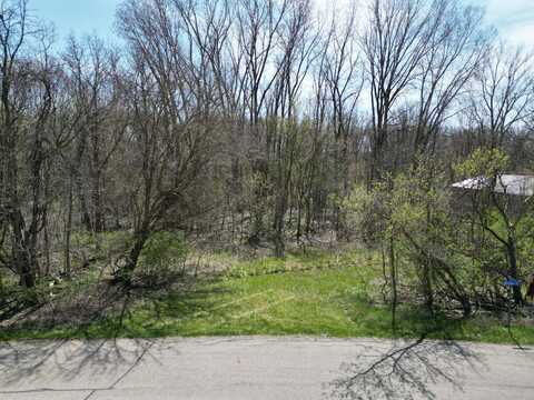 Webber Street, Ionia, MI 48846