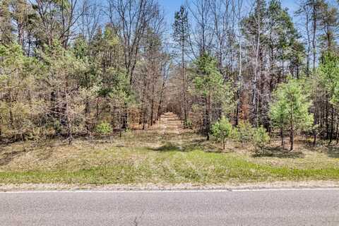 12330 N Dickinson Avenue, Bitely, MI 49309