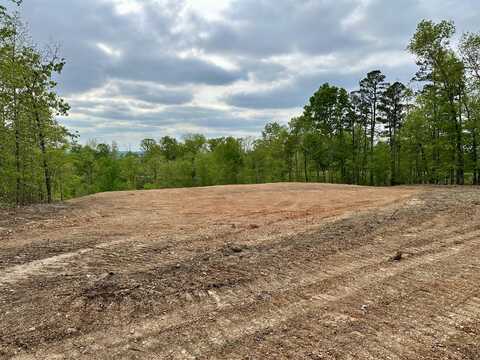 000 Payton Place Drive Lot 3, Van Buren, MO 63965
