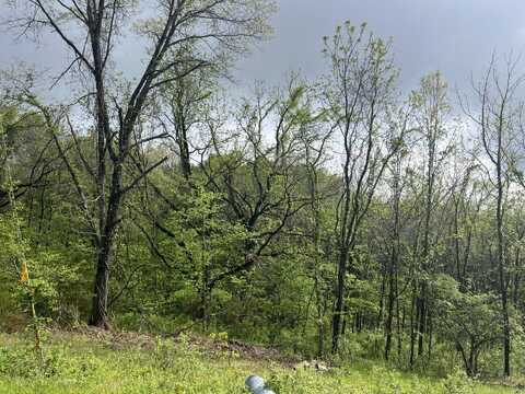 000 Lot 169 Panorama Drive, Cape Fair, MO 65624