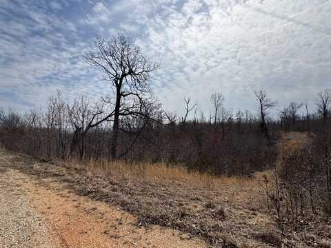 000 Timber Circle, Tunas, MO 65764