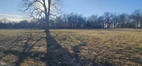 3ac N Gracie Lane, Springfield, MO 65803