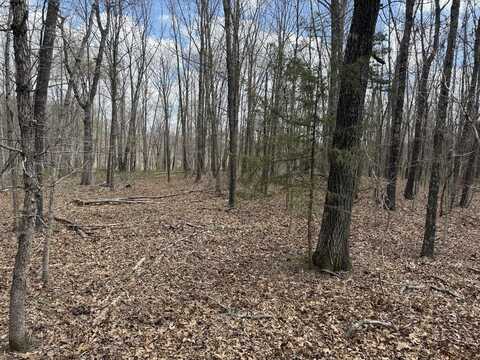 Tr 3 Lot E Tbd, Rogersville, MO 65742