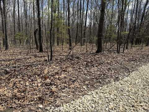 Tr 3 Lot G Tbd, Rogersville, MO 65742