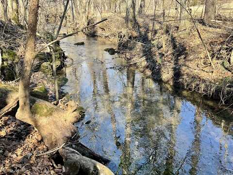 000 W State Highway U - Tract 1, Walnut Grove, MO 65770