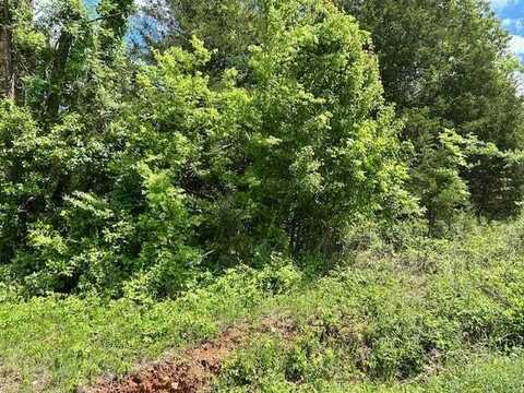 101 Isabella Lane, Horseshoe Bend, AR 72512