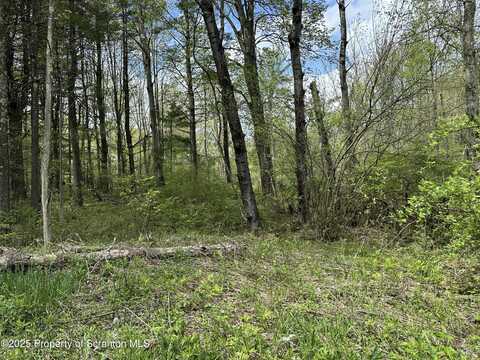 996 Rosengrant Road, Lake Ariel, PA 18436