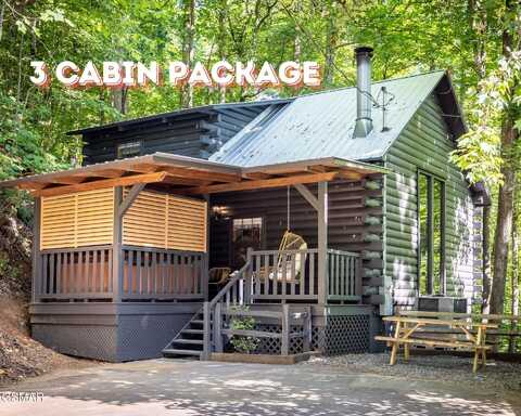 335 Sugar View Drive, Sevierville, TN 37876