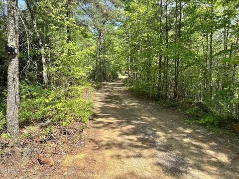 1286 Youngblood Way, Cosby, TN 37722