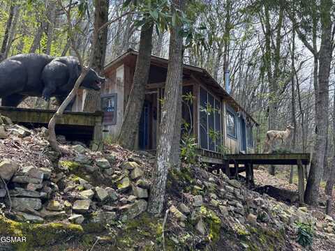 2939 Dupont Springs Road, Sevierville, TN 37876