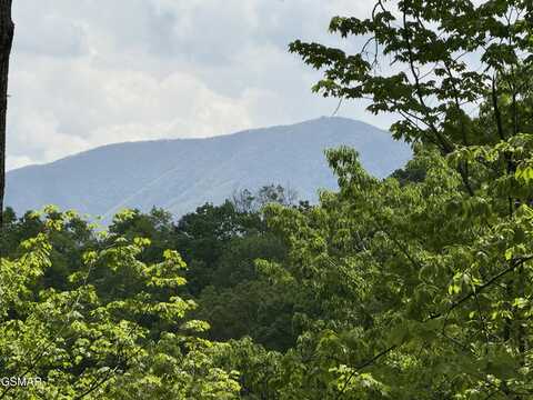 Lot 80 Whetsone Road, Sevierville, TN 37862