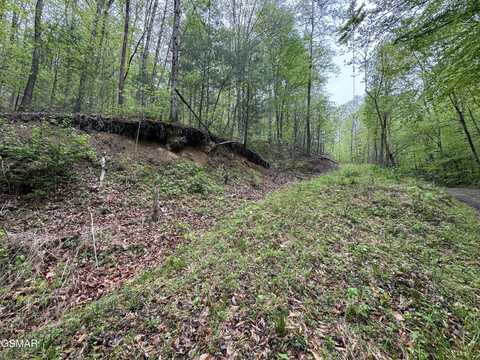 376 Summer House Hollow Road, Del Rio, TN 37727