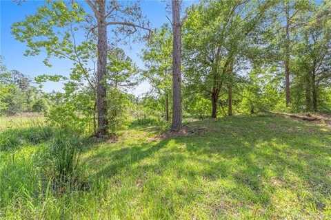 0 Davis Road Tract 3, Ragley, LA 70657