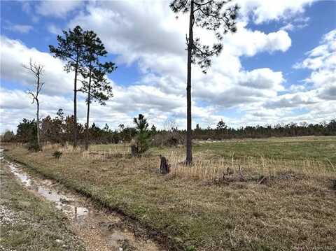 0 Marcantel Road, DeQuincy, LA 70633