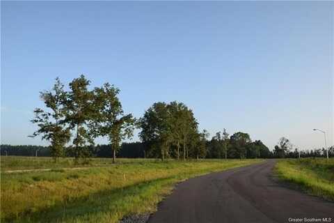3067 White Rose Lane, Lake Charles, LA 70611