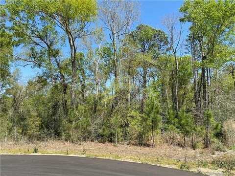0 Robinwood Drive E, Lake Charles, LA 70611