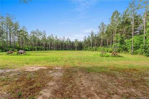 20191 Abie Fontenot Road, Iowa, LA 70647