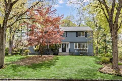 3 Kingston Dr, Livingston, NJ 07039