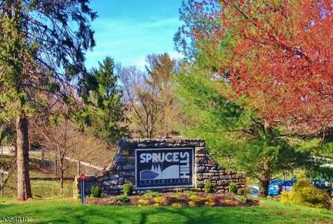 1208 Spruce Hills Dr, Glen Gardner, NJ 08826