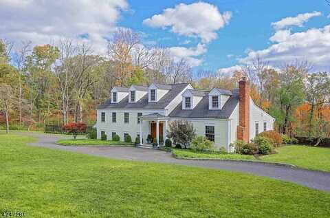 9 Peachcroft Rd, Harding Lakes, NJ 07960