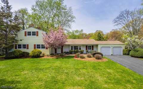 2 Euclid Ter, Whippany, NJ 07054