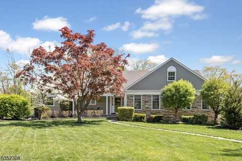20 Chimney Ridge Dr, Morris, NJ 07960