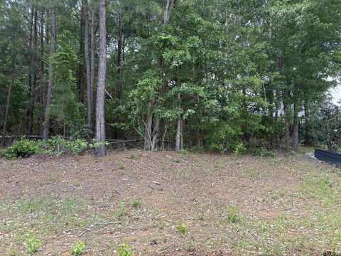 7545 NORTHLAKE DR, Tyler, TX 75703