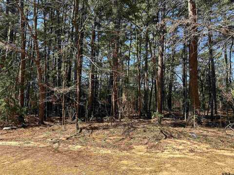 1473 Red Bud Circle, Bullard, TX 75757