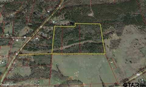TBD FM 19, Palestine, TX 75801