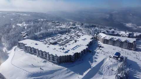 345 Mountain Lodge, Snowshoe, WV 26209