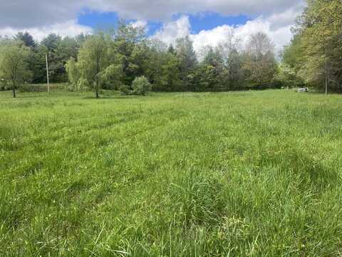 Country Wood Lane, Crawley, WV 24931