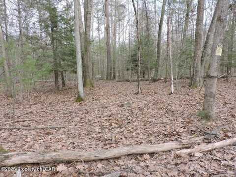 66 B Callender Road, Hunlock Creek, PA 18621